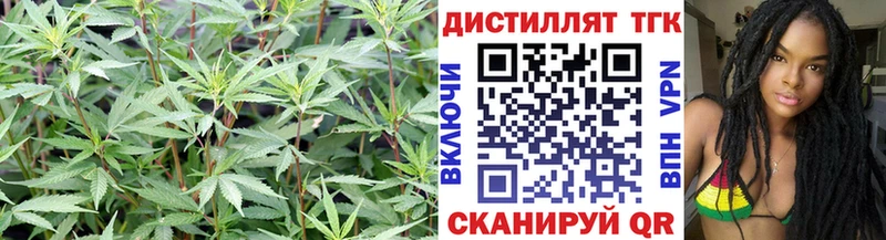 где можно купить   Сим  Дистиллят ТГК концентрат 